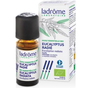 HUILE ESSENTIELLE EUCALYPTUS RADIATA 30ML
