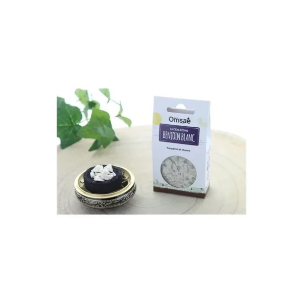 encens-resine-benjoin-blanc