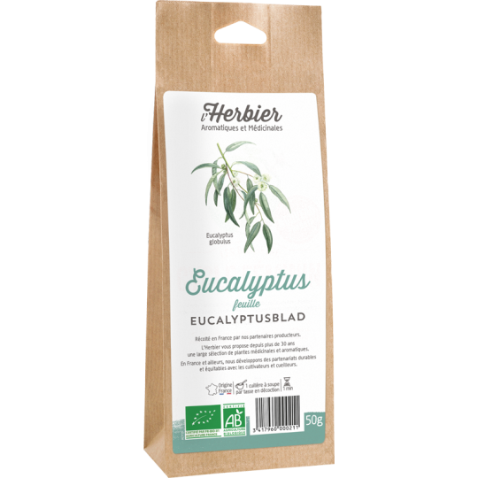 feuilles-eucalyptus-bio