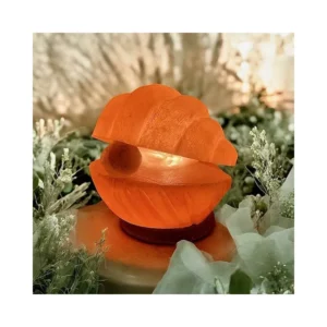 Lampe de sel himalaya coquillage – Image 3