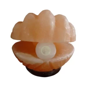 Lampe de sel himalaya coquillage