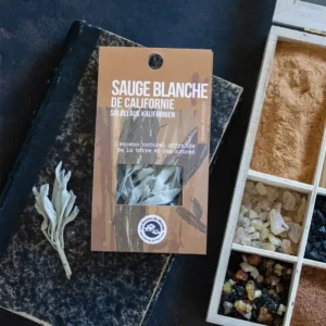 Sauge de Californie – Image 3