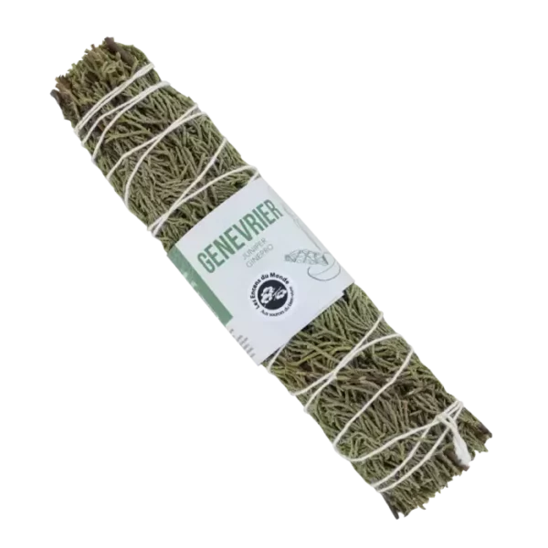 tresse-genevrier-18-cm